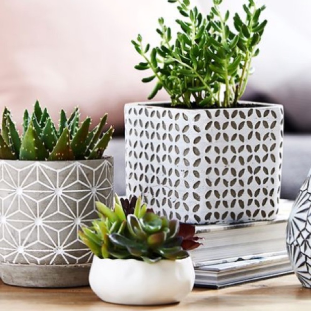 Meet your Posher,  Classic Fit